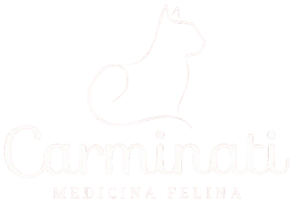 Carminati Medicina Felina
